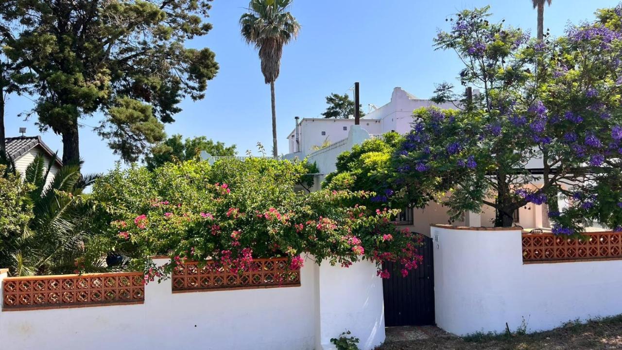 Arriba Stijlvol Appartement Met Zwembad En Tuin Conil De La Frontera Exteriér fotografie