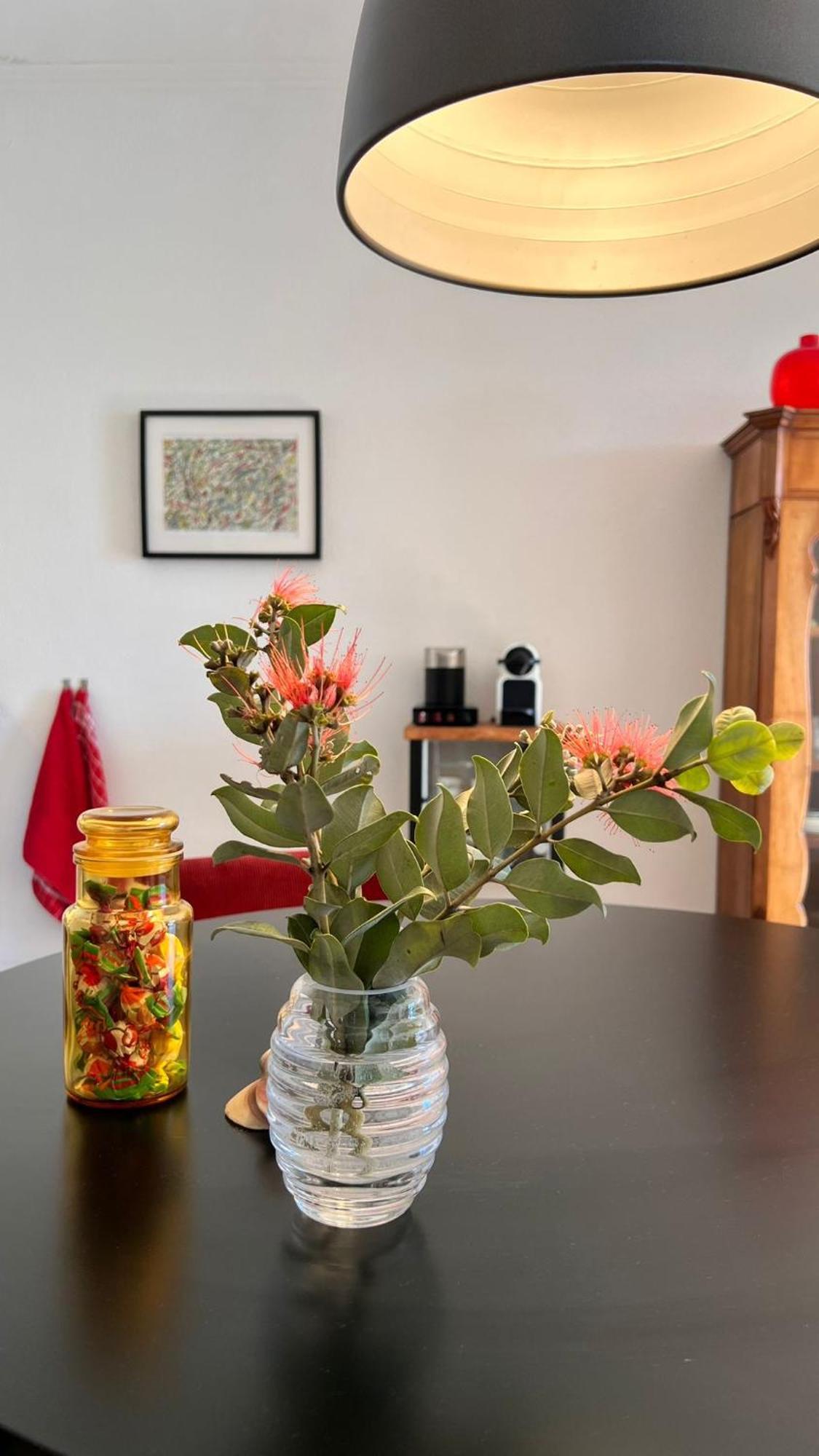 Arriba Stijlvol Appartement Met Zwembad En Tuin Conil De La Frontera Exteriér fotografie