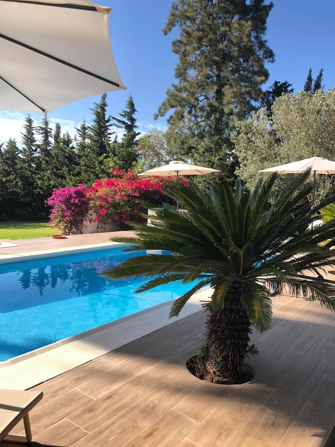 Arriba Stijlvol Appartement Met Zwembad En Tuin Conil De La Frontera Exteriér fotografie