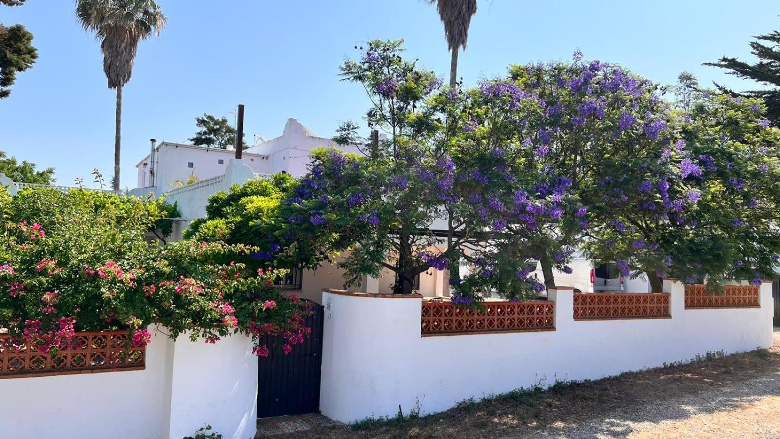 Arriba Stijlvol Appartement Met Zwembad En Tuin Conil De La Frontera Exteriér fotografie