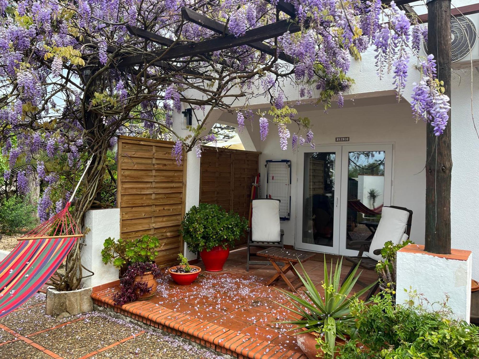 Arriba Stijlvol Appartement Met Zwembad En Tuin Conil De La Frontera Exteriér fotografie