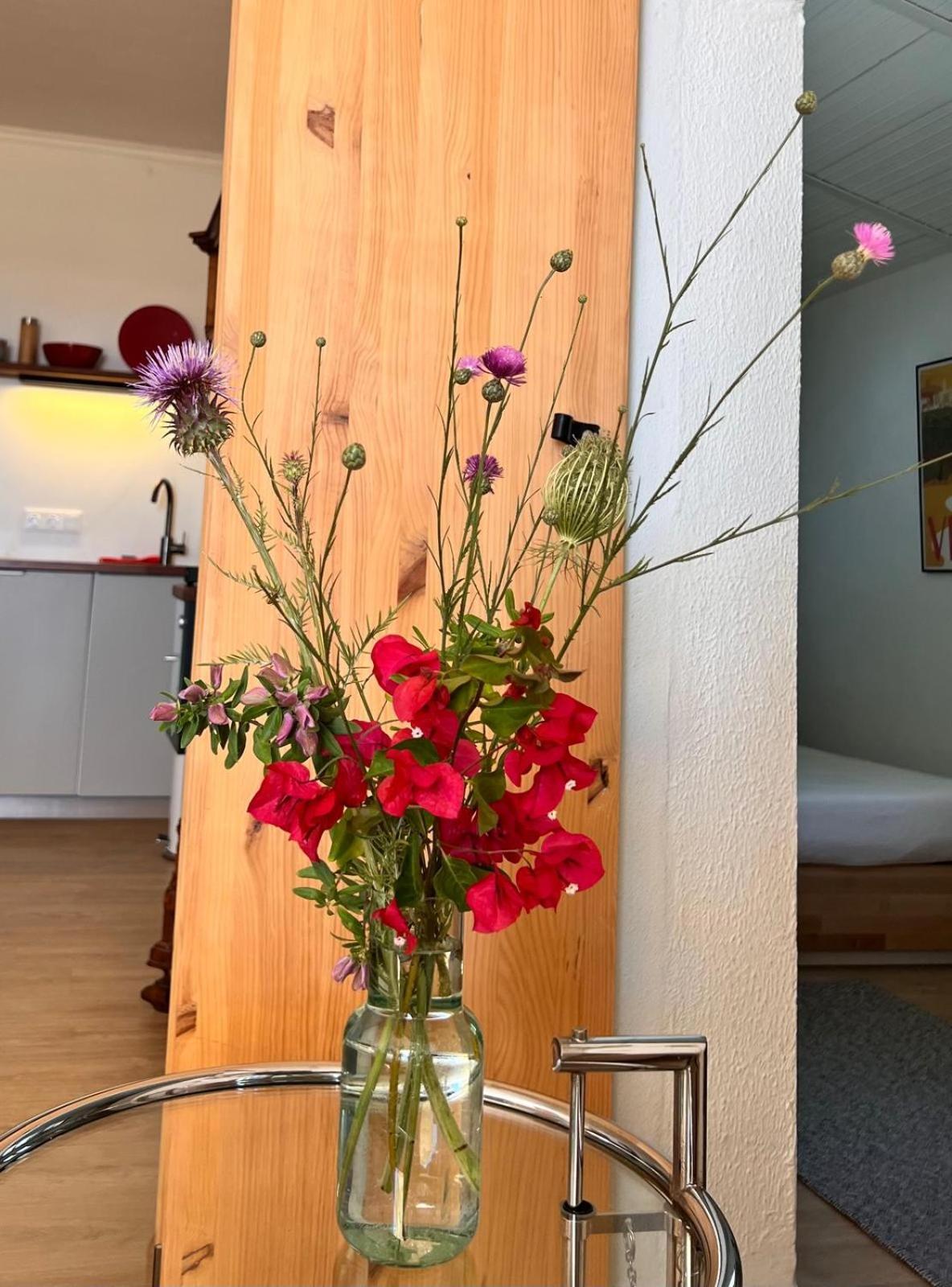 Arriba Stijlvol Appartement Met Zwembad En Tuin Conil De La Frontera Exteriér fotografie